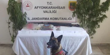 Kenevir eken şahısa jandarmadan operasyon