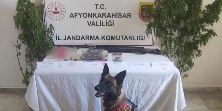 Kenevir eken şahısa jandarmadan operasyon