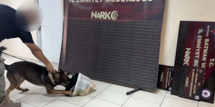 Makarna poşetleri içerisinde bonzai nakliyatı