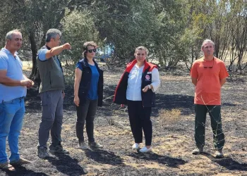 Çanakkale’de orman yangının ardından hasar tespit çalışmaları başladı