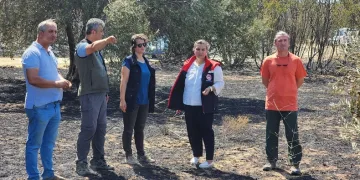 Çanakkale’de orman yangının ardından hasar tespit çalışmaları başladı