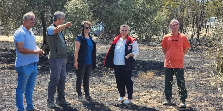 Çanakkale’de orman yangının ardından hasar tespit çalışmaları başladı