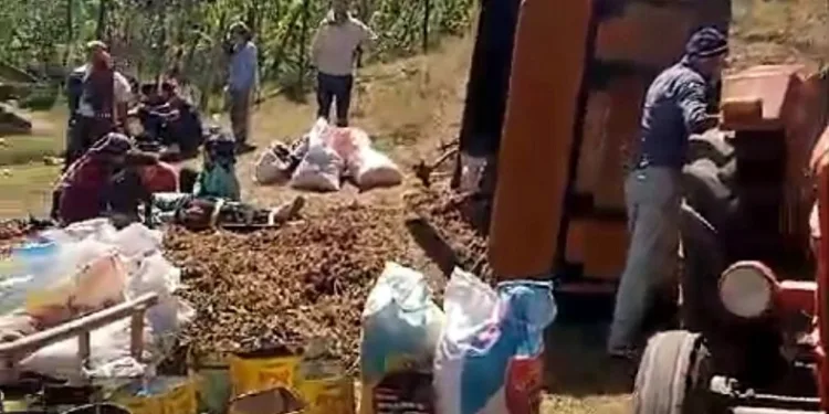 Mevsimlik tarım işçilerini taşıyan traktör devrildi