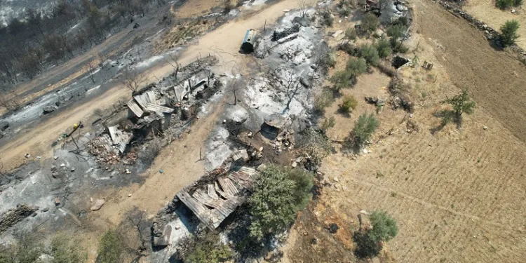 Manisa’daki orman yangınında acı tablo