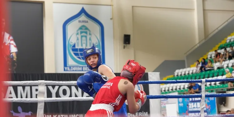 Yıldırım boks şampiyonasına ev sahipliği yapıyor