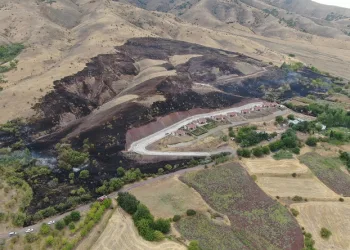 Elazığ’da 200 dönüm alan yangında kül oldu