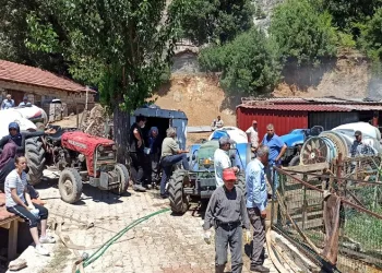 Elektrik arızası sonucu çıkan yangında samanlık kül oldu