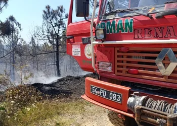 Sakarya’da korkutan orman yangını