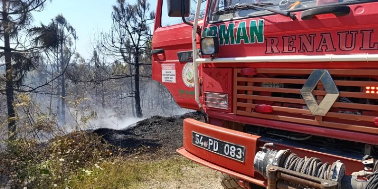 Sakarya’da korkutan orman yangını