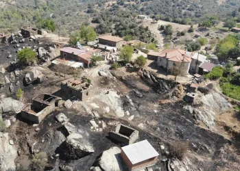 Alevlerle mücadele eden vatandaş Koca: “Evlerimizi zor kurtardık”