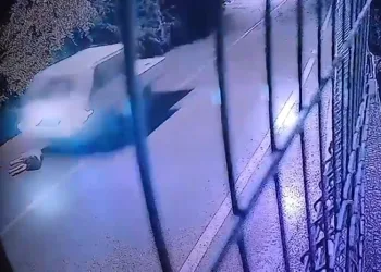 Köpeği ezip yoluna devam etti