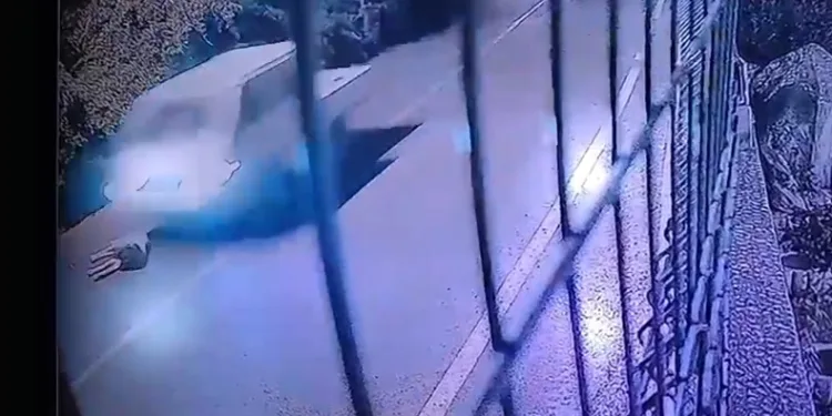 Köpeği ezip yoluna devam etti