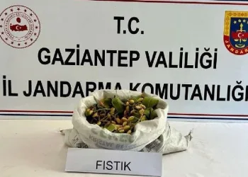 Fıstık hırsızlığına jandarmadan suçüstü