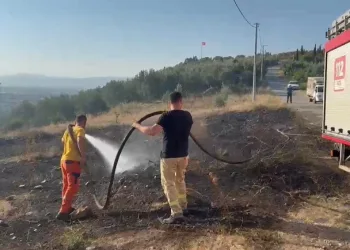 İznik’te çıkan yangın ormanlık alana sıçramadan söndürüldü