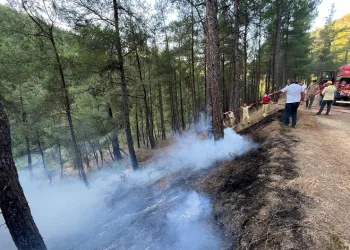 Büyükorhan’daki orman yangını kontrol altına alındı