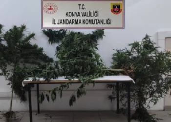 Jandarmadan uyuşturucu operasyonu: 5 gözaltı