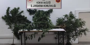 Jandarmadan uyuşturucu operasyonu: 5 gözaltı