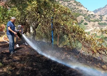 Hazır bekletilen su tankerleri alevlerin büyümesini engelledi