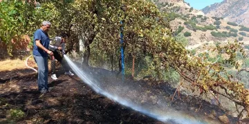 Hazır bekletilen su tankerleri alevlerin büyümesini engelledi