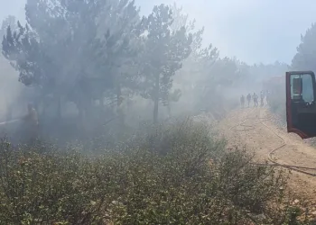Afyonkarahisar Kırka’da orman yangını