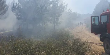 Afyonkarahisar Kırka’da orman yangını