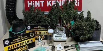 Uyuşturucu yetiştirmek için evine sera kurmuş