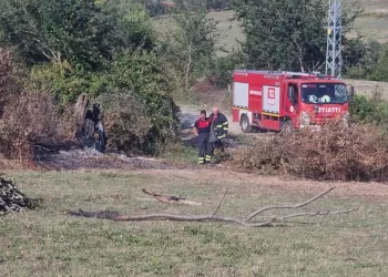 Otların yakılması paniğe neden oldu