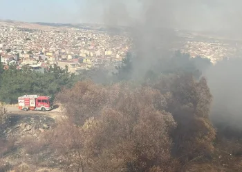 Balıkesir’in Çamlık mevkiinde çıkan arazi yangını söndürüldü