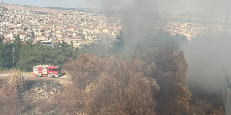 Balıkesir’in Çamlık mevkiinde çıkan arazi yangını söndürüldü