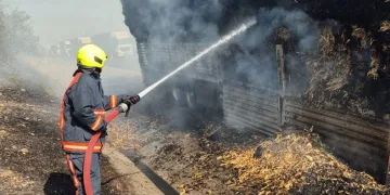 Tarsus’ta saman yüklü tır yandı