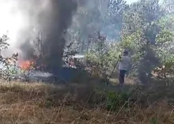 Anız yangını ormana sıçramadan söndürüldü