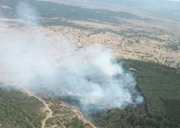 Afyonkarahisar’da ikinci orman yangını