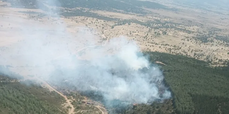 Afyonkarahisar’da ikinci orman yangını