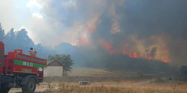 Kızılcahamam’da ormanlık alanda yangın çıktı