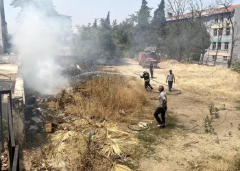Boş arazide çıkan yangın ucuz atlatıldı