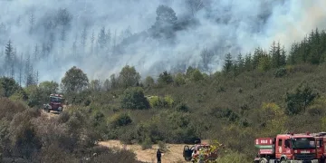 Afyonkarahisar’da Akharım orman yangını sürüyor