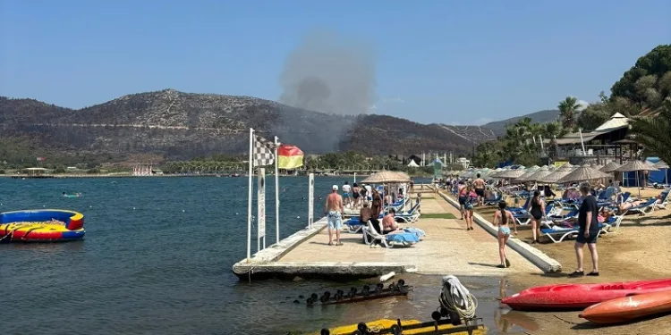 Kuşadası’ndaki orman yangını büyümeden söndürüldü