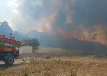 Ankara’da başlayan yangın Bolu’ya sıçradı