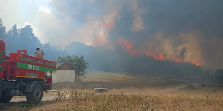 Ankara’da başlayan yangın Bolu’ya sıçradı