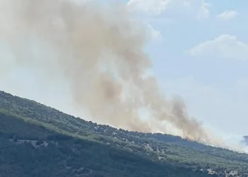 Anız yangını ormana sıçradı