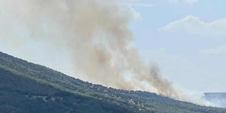 Anız yangını ormana sıçradı