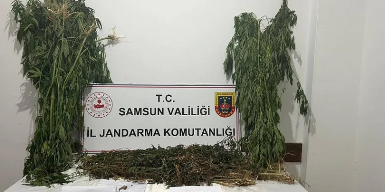 6 kilo 550 gram kubar esrar ele geçirildi