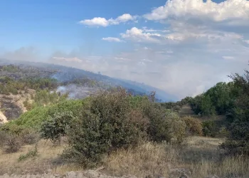 Bolu’da devam eden yangın Ankara istikametine yöneldi