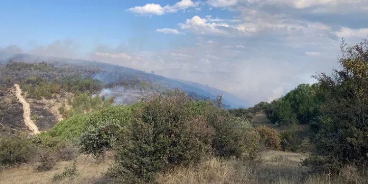 Bolu’da devam eden yangın Ankara istikametine yöneldi