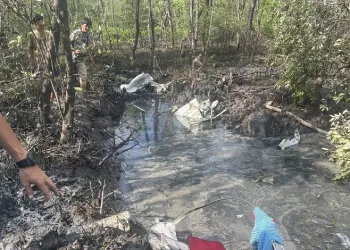 Tayland’da küçük uçak ormanlık alana düştü: 9 ölü