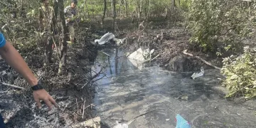 Tayland’da küçük uçak ormanlık alana düştü: 9 ölü