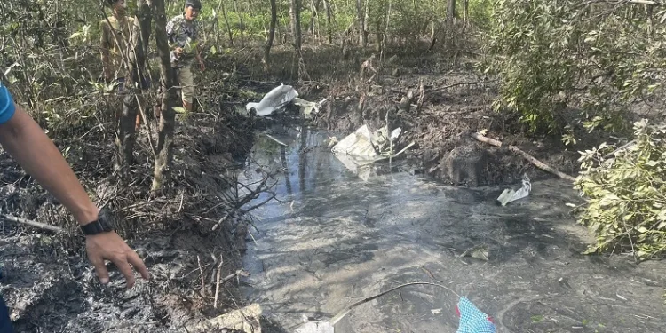 Tayland’da küçük uçak ormanlık alana düştü: 9 ölü