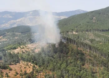 Kuyucak’ta orman yangını