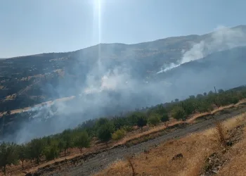 Arazi yangını ormanlık alana sıçradı