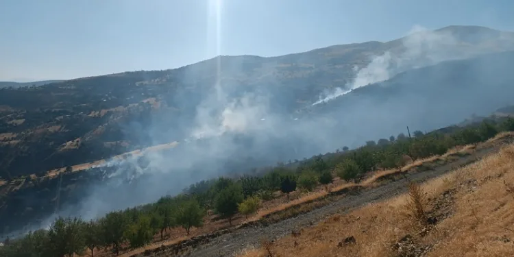 Arazi yangını ormanlık alana sıçradı